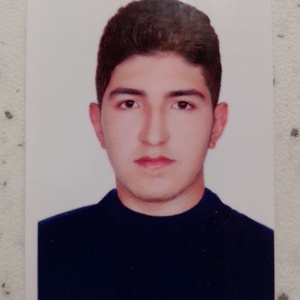 ابوالفضل لطفی