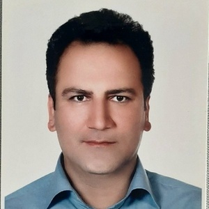 هادی مویدی