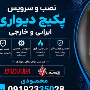 مهرداد محمودی پور
