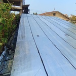 علی محمدجانی شایق 