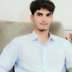 امیر حسین نجف پور اتشگاه