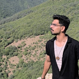 محمد حیدری