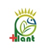 تصویر پروفایل پلنت پلاس | plant plus