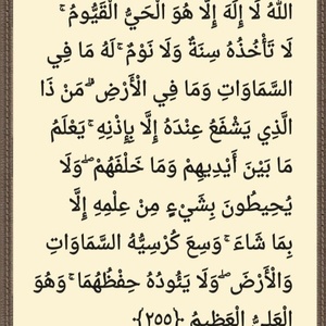 محمدرضا امیری