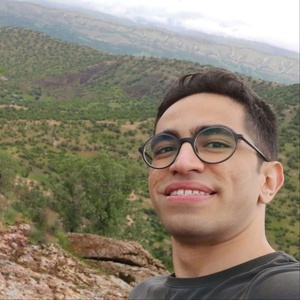 پیروز فلاحی