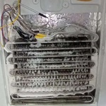 مصطفی لشگری