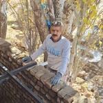 پیمان سلیمی