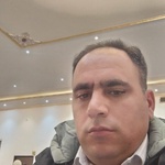 مجید علیمحمدی