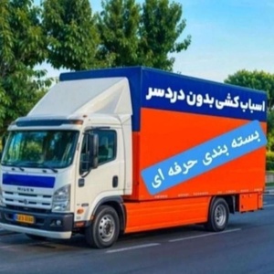 شایان ابراهیمی