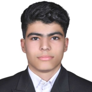 نیکزاد شریفی سرمستی 