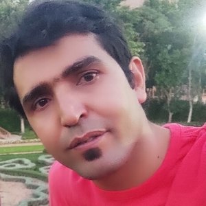 سعید احمدلو دهنوی