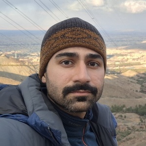 سید محمد حسین هاشمی