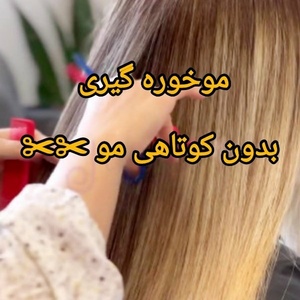 نرگس نظری