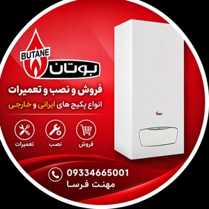 محمد حسین محنت فرسا