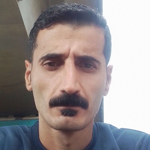 وحید  متکی