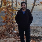 سعید ولی الهی