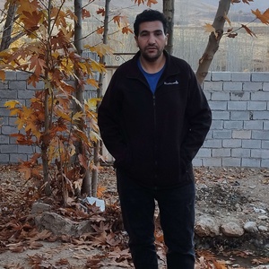 سعید ولی الهی