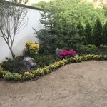 جواد پورحیدری