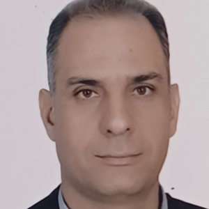 امین فریدی