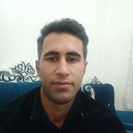 علی حبیبی نوروزلو