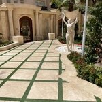 روح الله صحرائی یارعلی