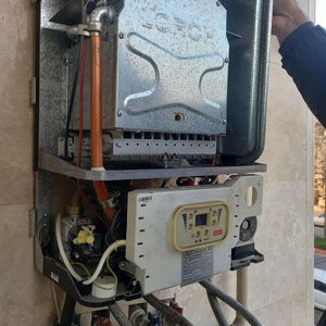 امیرحسین جمالی راسته کناری