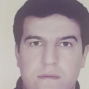 رضا رضایی چهره نگار