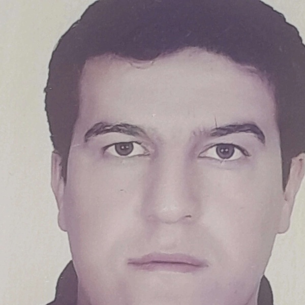 رضا رضایی چهره نگار