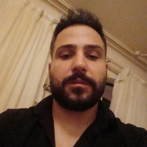 شاهین گلی چناری