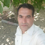 وحید منصوری
