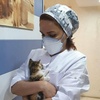 تصویر پروفایل بیمارستان دامپزشکی ستیا