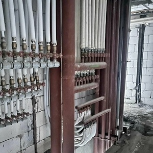 علیرضا دانشور