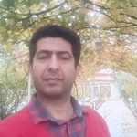 محمدرضا حسینی