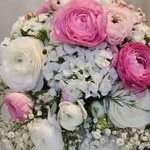 فاطمه حنیفی مجاوشینی