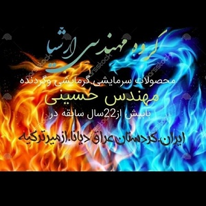 محمد حسینی