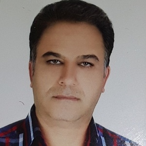 محمد حسن امیری