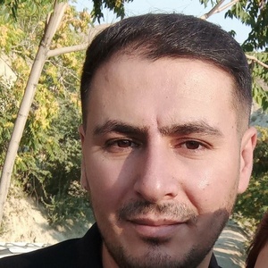 حامد زیوری