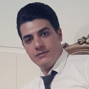 مجتبی منصوری گواری