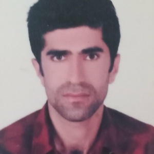 بازرگان مطیعی