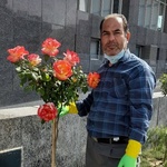 علی اکبر هرورانی