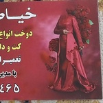 فاطمه کریمیان