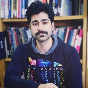 سید محمد حسین هاشمی