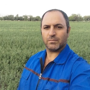 داود شوری