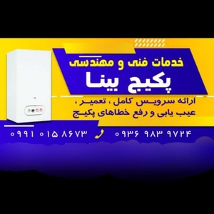 بابک بینا