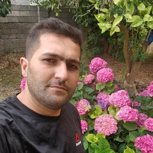 علی لطفی