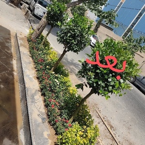 قاسم نودهانی