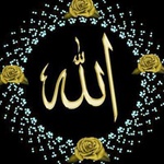قاسم پاشا زانوس