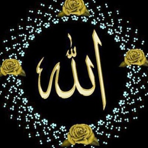 قاسم پاشا زانوس