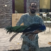 بهمن محمدی