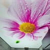 تصویر پروفایل بایان دکور